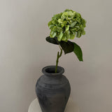 Hortensia Belle - Grøn