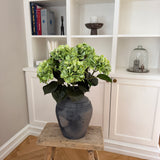 Hortensia Belle - Grøn