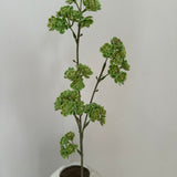 Artificial Ranunculus - Cream