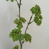 Artificial Ranunculus - Cream
