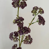 Artificial Ranunculus - Cream