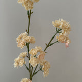 Artificial Ranunculus - Cream