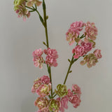 Artificial Ranunculus - Cream