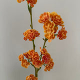 Artificial Ranunculus - Cream