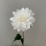 Artificial Ranunculus - Cream