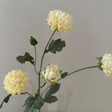 Artificial Ranunculus - Cream