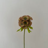 Kunstig Scabiosa - Rød/grøn