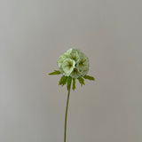 Kunstig Scabiosa - Grøn