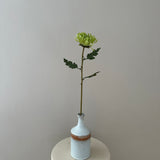Chrysanthemums