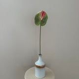 Kunstig Anthurium - Grøn