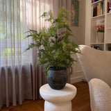 Kunstig Aspargus plante (80 cm)