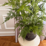 Kunstig Aspargus plante (80 cm)