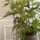 Kunstig Aspargus plante (80 cm)