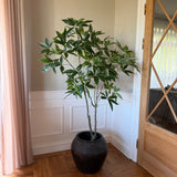 Kunstigt Pachira træ (150 cm)