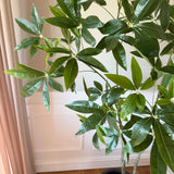 Kunstigt Pachira træ (150 cm)