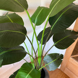 Kunstig Strelitzia (175 cm)