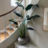 Kunstig Strelitzia (150 cm)