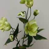 Kunstig Helleborus - Hvid/grøn