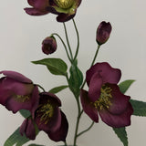 Kunstig Helleborus - Bordeaux