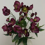 Kunstig Helleborus - Bordeaux
