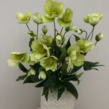 Kunstig Helleborus - Hvid/grøn