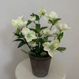 Kunstig Helleborus plante - Hvid/grøn