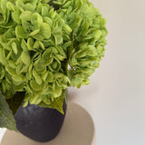 Hortensia buket