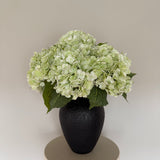 Hortensia buket