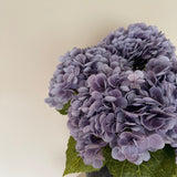 Hortensia buket