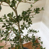 Kunstigt kysttræ (175 cm)