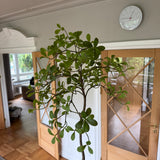 Kunstigt Dodan træ (120 cm)