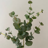 Kunstig Eucalyptus - støvet