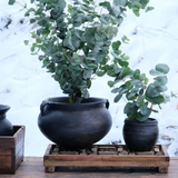 Botanic lerkrukke med håndtag