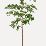 Kunstigt Shady Grey